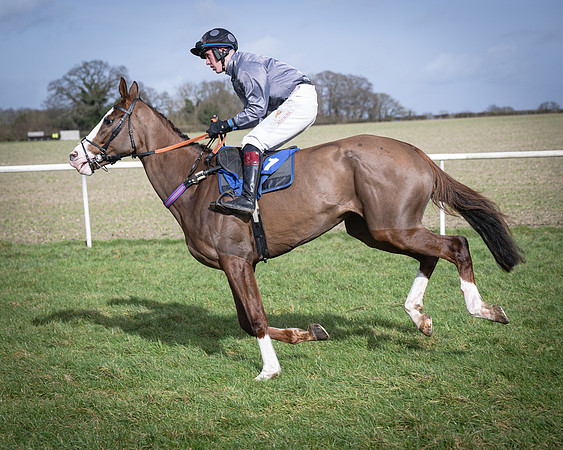 Race 3 - The Maiden Conditions (65 of 214)