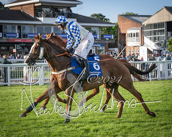 Race 4 - Peretemps Stratford Foxhunters (37 of 168)