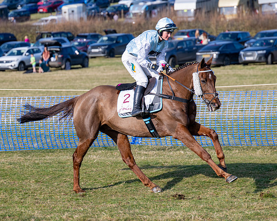 Race 5 - PPORA Five years and over (53 of 163)
