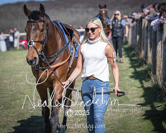 Race 6 - Veteran horse (10 of 109)