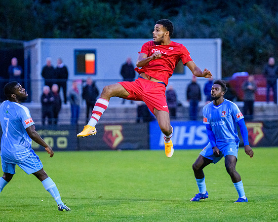 Hayes and Yeading (73 of 321)