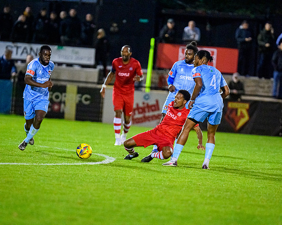 Hayes and Yeading (151 of 321)