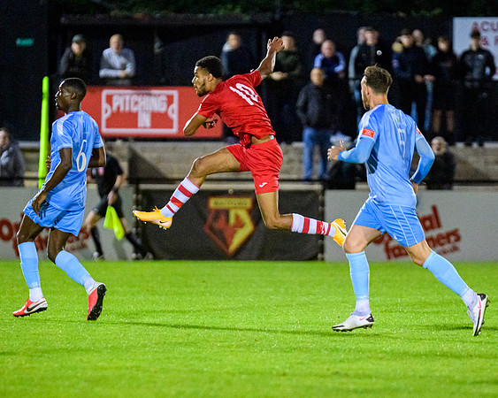 Hayes and Yeading (159 of 321)