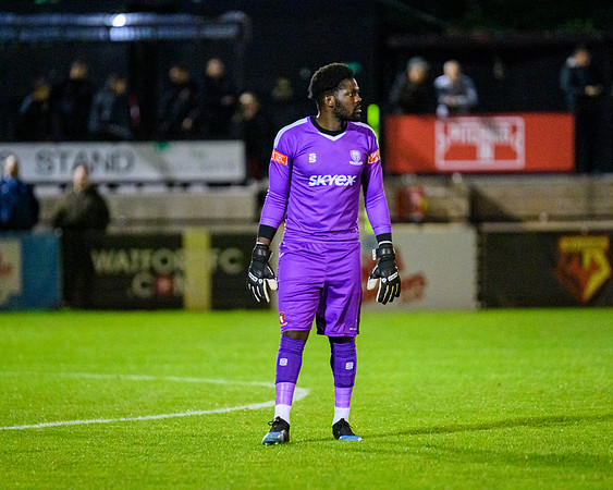 Hayes and Yeading (162 of 321)