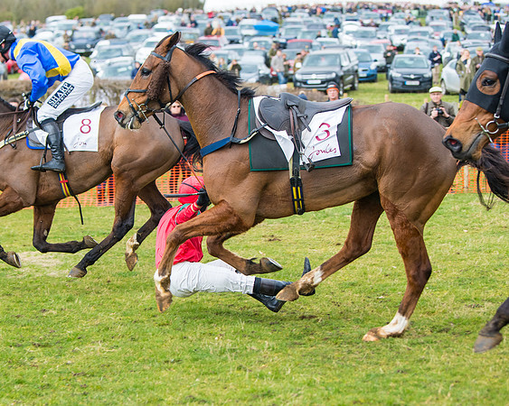 Race 1 - 4&5 Maiden (36 of 66)