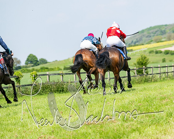 Race 3 - Ladies Open  (115 of 133)