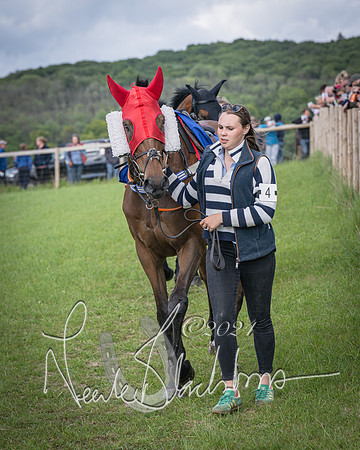 Race 4 - The Dickie Lim Mixed Open Race (2 of 101)