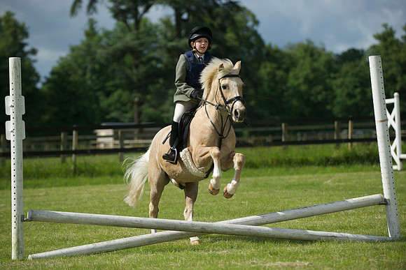 SOHS PC Summer Show at BCA 17th June 2012