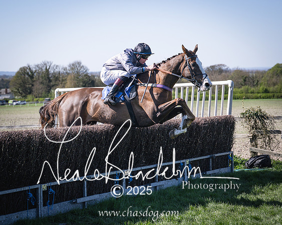 Race 5 - The restricted (74 of 113)