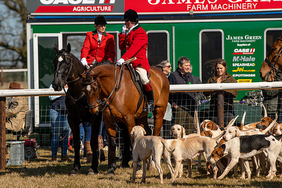 Hunt Horses annd Hound parade (18 of 44)