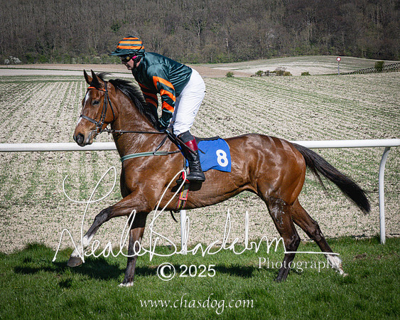 Race 5 - The restricted (41 of 113)
