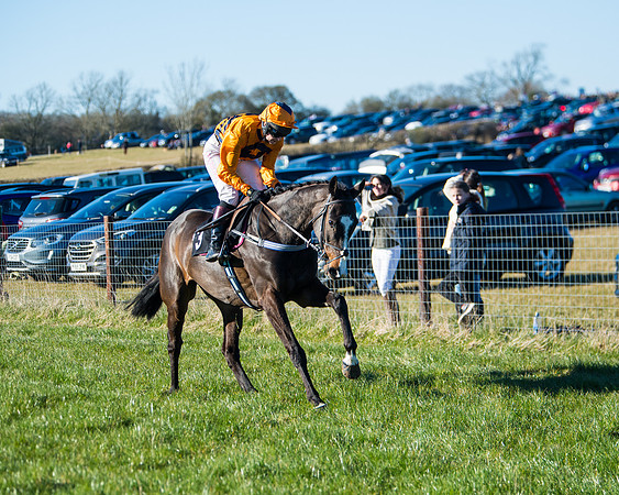 Race 6 - Restricted  (39 of 291)
