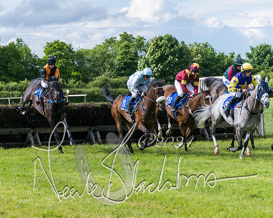 Race 5 - Restricted Race (205 of 434)