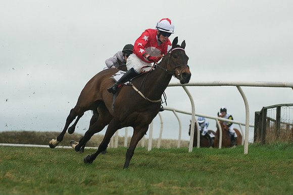 Race 8 - Pony Race 2 -  17