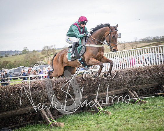 Race 6 - The Restricted Race (42 of 101)