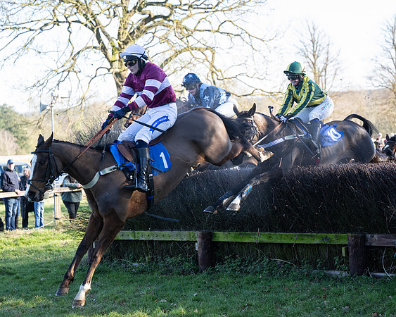 Race 5 - Maiden (86 of 123)