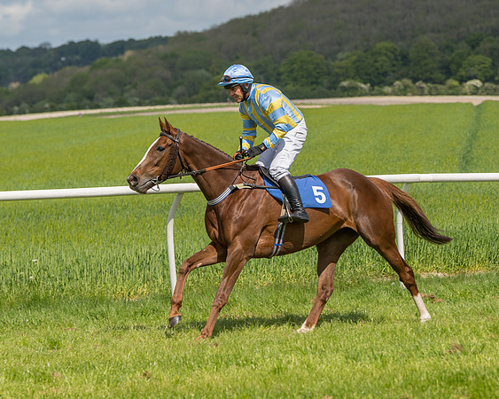Race 2 - Restricted  (21 of 90)