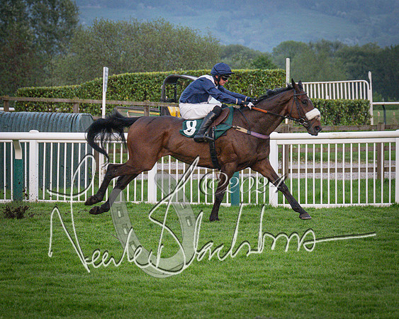 Race - 7 The Royal Gloucester Hussars Open Hunter's steeplechase 2m4f 127y (127 of 210)