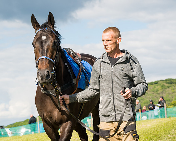 Race 5 - Restricted  (14 of 136)