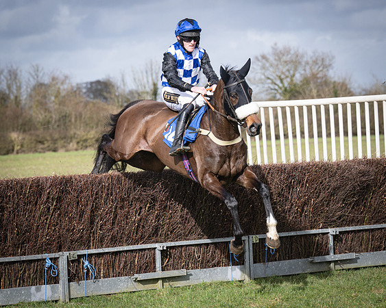 Race 3 - The Maiden Conditions (97 of 214)