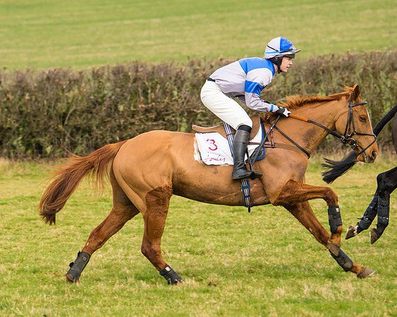 Race 3 - Restricted  (15 of 100)