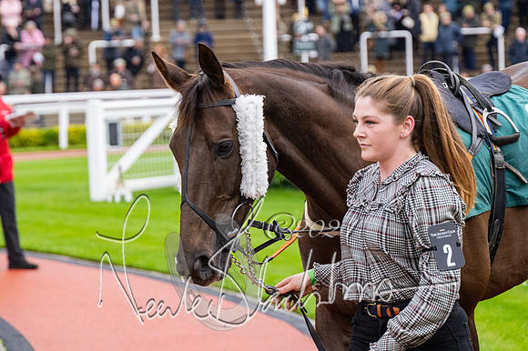 Race 3 - Junior jumpers (4 of 180)