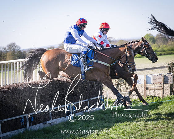 Race 6 - Veteran horse (100 of 109)