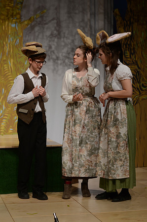 Wind in the Willows Dress 6