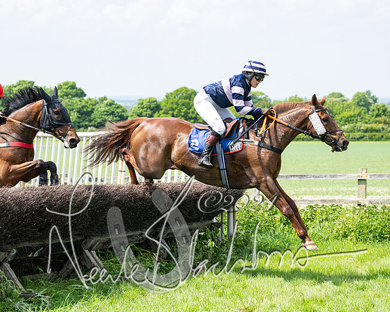RAce 1 - Conditionsn [Level 2] (133 of 219)