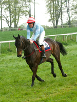 Old Berks at Lockinge PPORA novice and veteran riders race