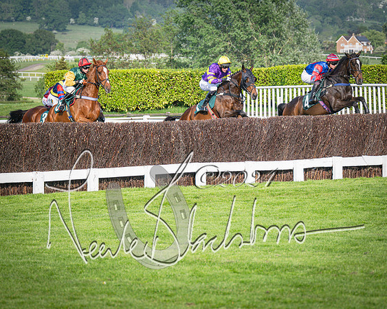 Race 3 - The Junior Jumpers open hunter's steeple chase 3m1f56y (44 of 156)