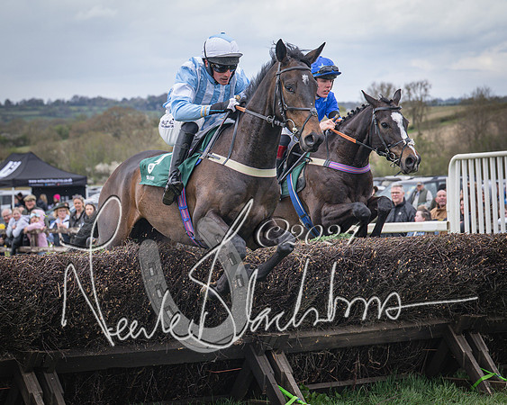 Race 2 - Tattersalls Cheltenham 4 year old Maiden (22 of 85)