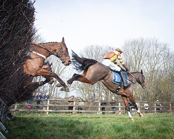 Race 1 - All Is True - Jack Andrews (22 of 38)