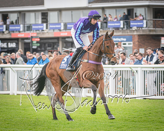 Race 1 - Pointing Pointers Restricted Final (29 of 79)