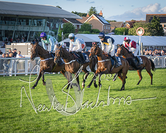 Race 5 - tipsterreviews.co.uk handicap (27 of 107)