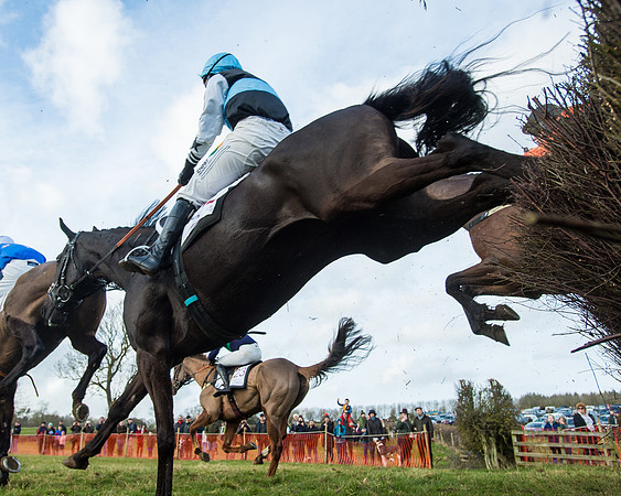 Race 5 - PPORA Conditions 2 - 8 and over  (67 of 156)
