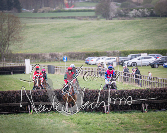 Race 6 - The Restricted Race (28 of 101)