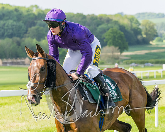 Race 4 - PPORA Novice Riders Final  (138 of 362)