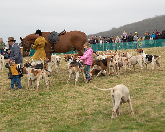 Hounds and Others (54 of 100)