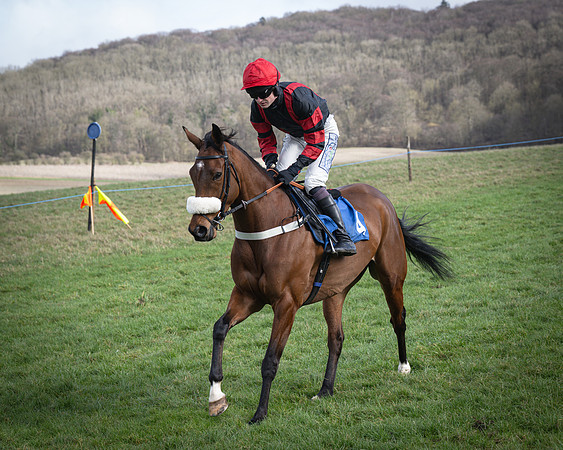 Race 1 - Four and Five year Old Maiden (66 of 137)