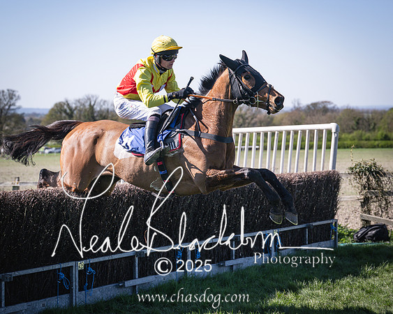 Race 5 - The restricted (69 of 113)