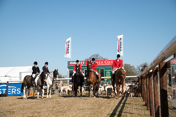 Hunt Horses annd Hound parade (8 of 44)