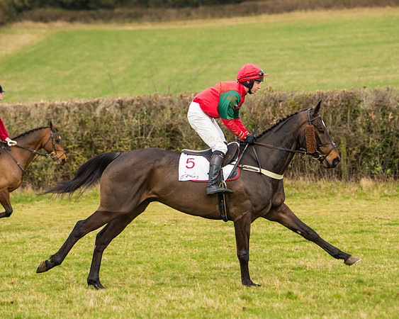 Race 3 - Restricted  (6 of 100)