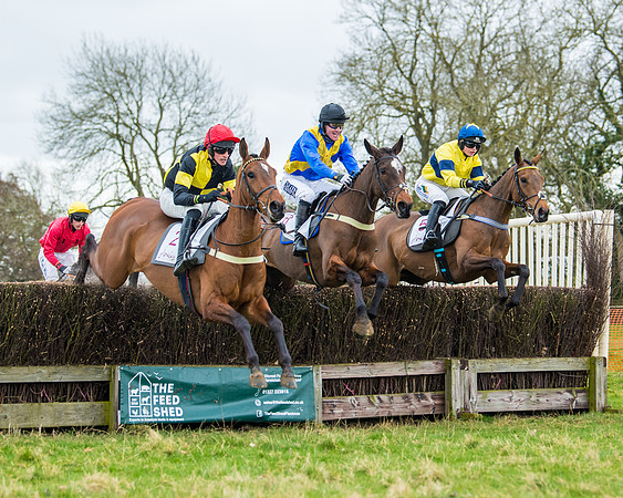 Race 1 - 4&5 Maiden (9 of 66)