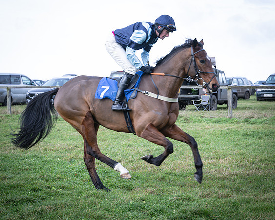 Race 2 - Maiden (12 of 145)