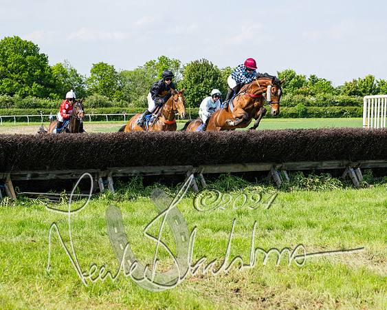 Race 3 - Ladies Open  (71 of 133)
