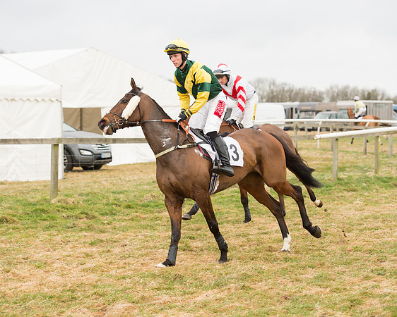 Race 6 - Open Maiden (15 of 100).jpg