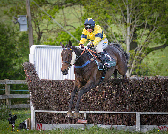 Race 6 - The sir James Shuckburgh Restricted race (50 of 85)
