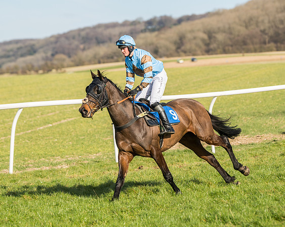 Race 3 - Ladies Open (10 of 156)