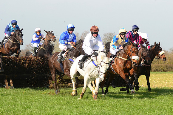 Race 2 Open Maiden Div 1 -  41